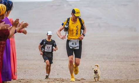 Gobi Una Perra De La Calle Que Recorrió 250km Con Un Atleta ¡te