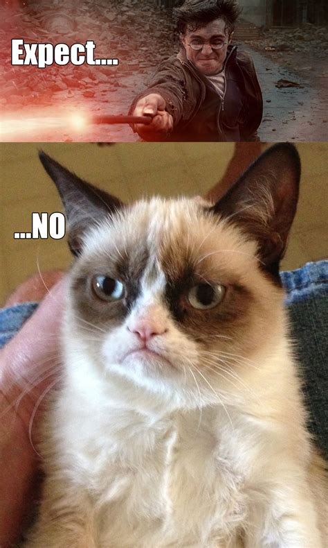 Grumpy Cat Expectno Grumpy Cat Know Your Meme