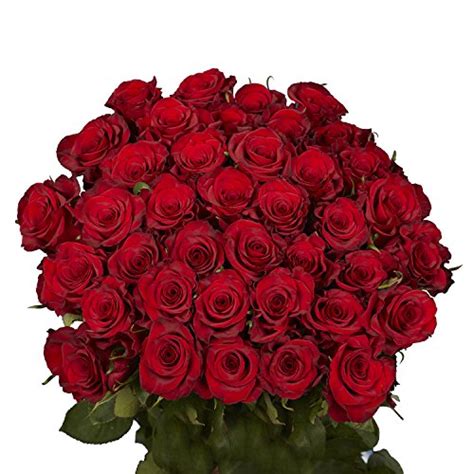 Red Roses 50 Fresh Cut Flowers Beautiful T The Home Kitchen Store