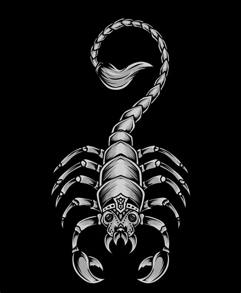 Isolated Scorpion On Black Background Vector Illustration 4246816