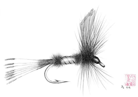 Colorful fishing fly lure illustrations & vectors. Royal Coachman | Fly fishing art, Fly drawing, Fly fishing ...