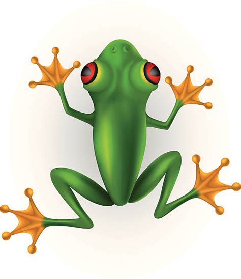 Best Frog Illustrations Royalty Free Vector Graphics And Clip Art Istock