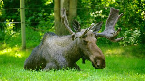 Zoo de Toronto, Toronto location de vacances à partir de € 70/nuit