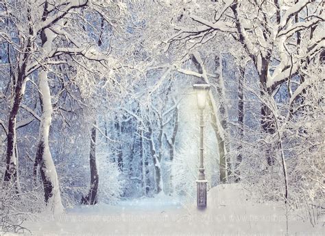Snowy Winter Trees And Lamp Post Photography Backdrop Etsy