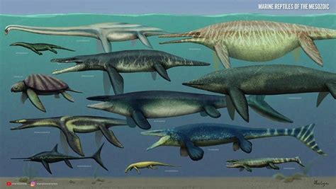 Marine Reptiles Of The Mesozoic Artwork By Mario Lanzas Prehistoric