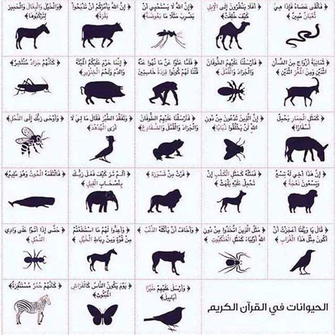Nama Haiwan Dalam Al Quran