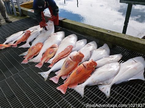 Fantastic Deep Sea Fishing In Alaska Seldovia Alaska Fishing Trips