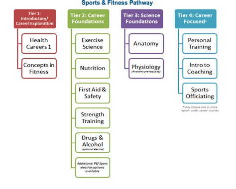 Sports And Fitness Course Pathway Carone Learning Online Pe Health