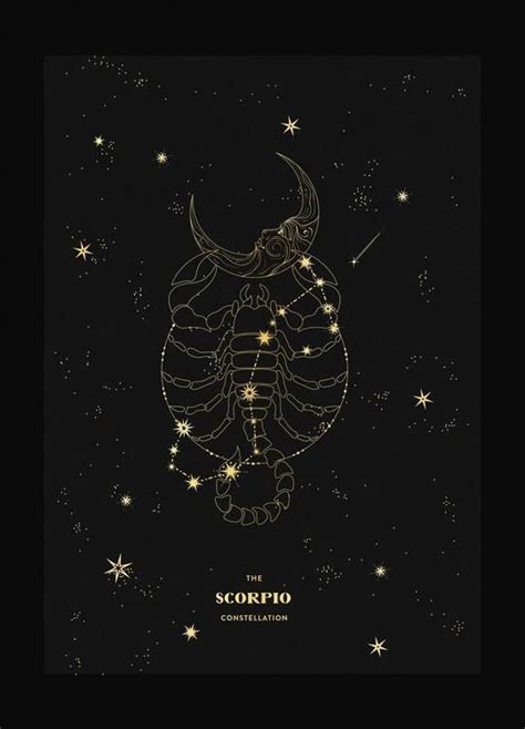 Zodiac Constellations Constellations Art Print Zodiac Constellations