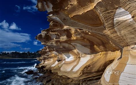 Best Of Bing Australia Australian Landmarks And Animals Wallpapers