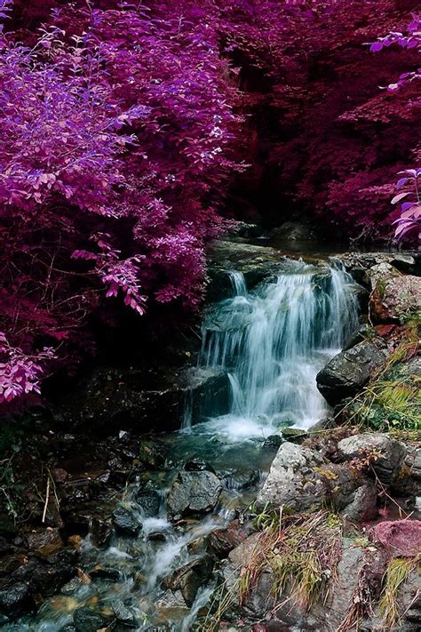 Purple Forest Waterfall Beautiful Waterfalls Scenery