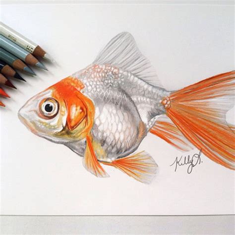 Pin By Redactedliaolbw On Drawing Kelly Lahar Colored Pencil Art