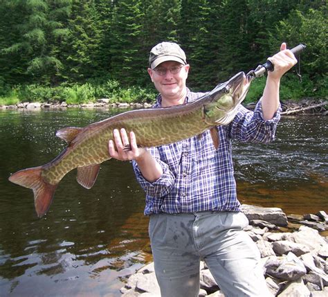 Lake Fishing In Maine All About Fishing