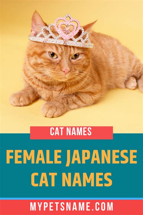 Popular Japanese Cat Names