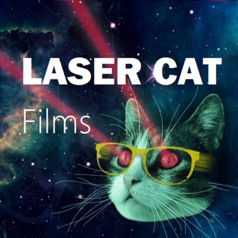 Laser Cat Films Youtube