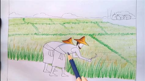 98 gambar sketsa seorang petani. Kumpulan gambar untuk Belajar mewarnai: Mewarnai Gambar Petani Menanam Padi Di Sawah