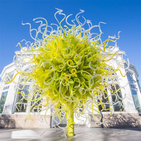 Dale Chihuly S Glass Sculptures Takeover The New York Botanical Garden