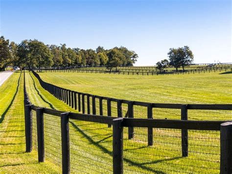 No Climb Horse Fence Modern Design In 2020 Ranch Fencing Horse