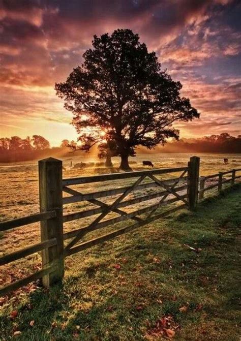 Beautiful Country Morning Beautiful Landscapes Landscape Photography