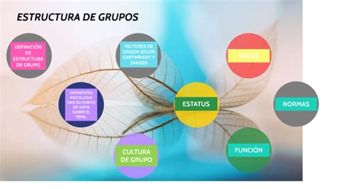 Estructura De Grupos By Melany Cortez On Prezi Next