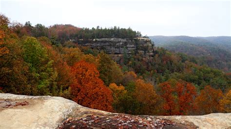 Best Things To Do In Red River Gorge Kentucky