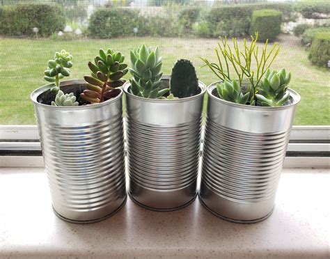 Upcycled Succulent Planters Trash To Treasure With Pictures