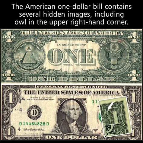 The American One Dollar Bill Contains Several Hidden Images Including