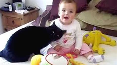 Funny Babies Laughing Hysterically At Cats Compilation Funny Baby And