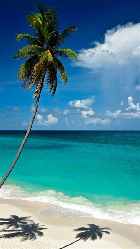 Pin By Мартин Миленов On Travel Beautiful Beaches Barbados Beaches