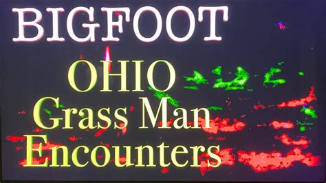 47 Bigfoot Encounters The Ohio Grassman Youtube