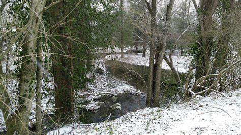 Free Winter River Scene Nashville Tn Stock Photo