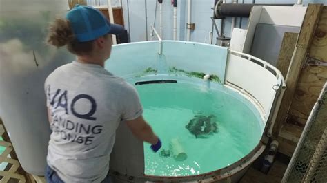 Making An Impact Virginia Aquarium And Marine Science