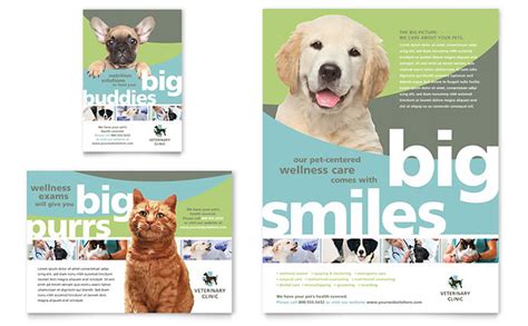 Vet Clinic Flyer And Ad Template Design