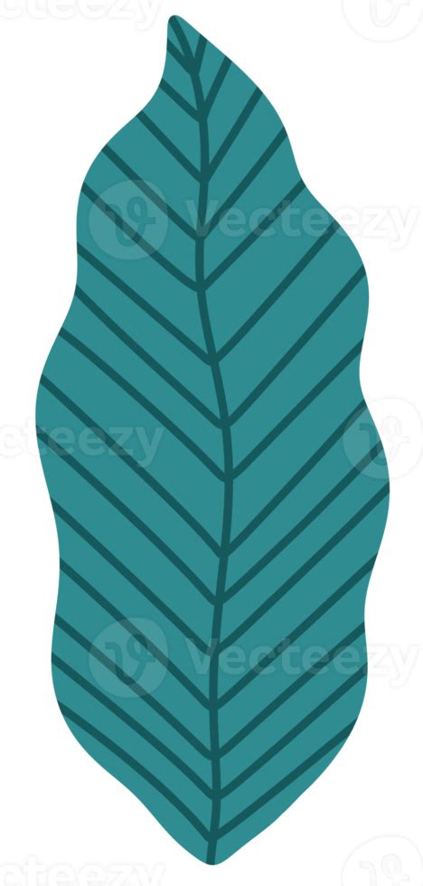 Free Pastel Green Tropical Leaves Icon 18803174 Png With Transparent