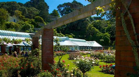 Visit Botanic Gardens In Wellington Expedia