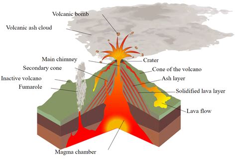 Label The Volcano Diagram Cochic