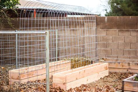 Additionally, i wanted to use it as a plant trellis with bench seating. How to make a Trellis & Raised Garden Box Combo