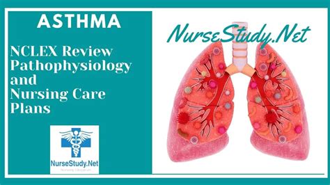 Asthma Nursing Interventions And Care Plans NurseStudy Net