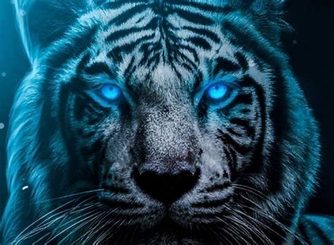 Hd Blue Eyes Tiger Wallpaper Hd Wallpaper Wallpapes High Resolution