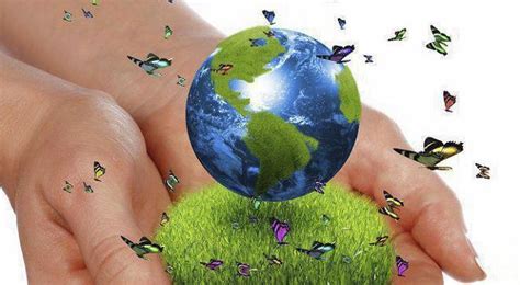 Día De La Conciencia Ambiental De La Sustentabilidad A La