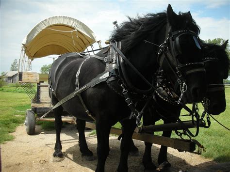 Laura ingalls wilder museum visits for families and kids. Laura Ingalls Wilder Trip: Laura Ingalls Wilder Trip June ...