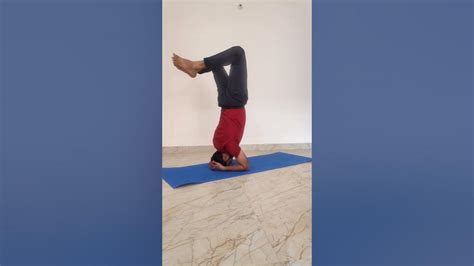 How To Do Scorpion Headstand Vrschikasana In Ashtanga Yoga Scorpion