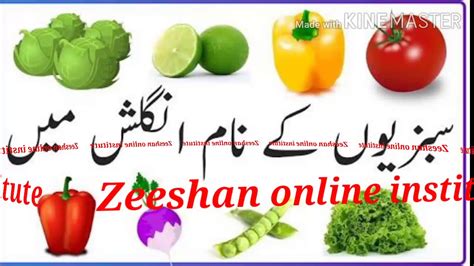 Vegetable Names English To Urdu Learn Youtube