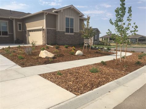 How To Xeriscape Your Front Yard Leigha Harter