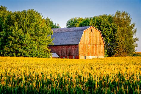 Minnesota Amish farm photography prints