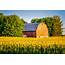 Minnesota Amish Farm Photography Prints