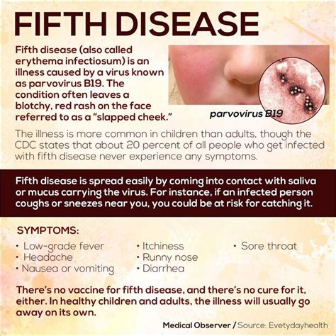 16 Best Fifths Disease Images On Pinterest Fifth Disease Anatomy