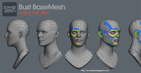 Daily Sculpt And Wip Bust Base Mesh 2