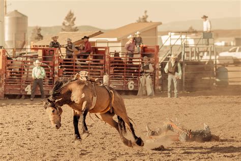 Q9a4213 United States Rodeo In Bryce Canyon City Utah Francoise