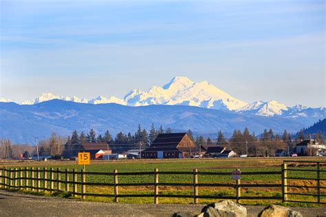 Mt Baker View From Skagit Valley Wausa Stock Photo Download Image Now